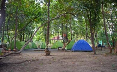 Campsite Kerwa Jungle Camps