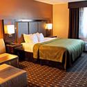 Hotel Quality Inn & Suites Detroit Metro Airport