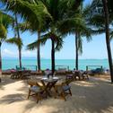 Resort Samui Palm Beach Resort - Lead by Celes Samui