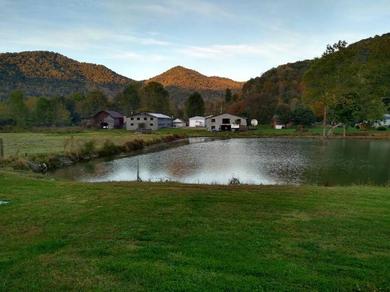Holiday home Pet friendly rustic cabin with views 26 min to downtown Asheville
