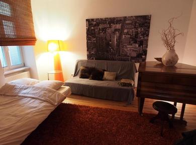 Апартаменты big apartment, near center, great for couples with or without kids