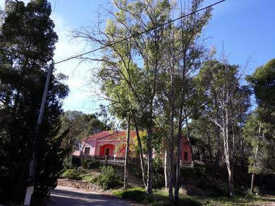 Holiday home Casas Rurales "Paraje el Cajal"