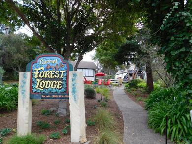 Лодж Forest Lodge
