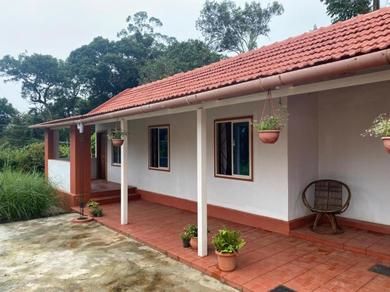 Holiday home TripThrill Inn Coorg Homestay