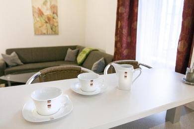 Апартаменты Riess Apartments Rotenhofgasse | contactless check-in