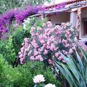 Дом отдыха Villa nel parco Baia Sardinia