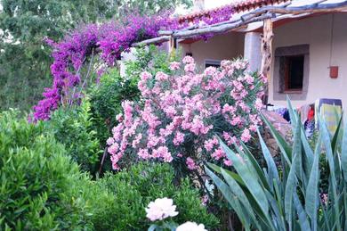 Holiday home Villa nel parco Baia Sardinia