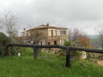 Гостевой дом Agriturismo Il Palmarone