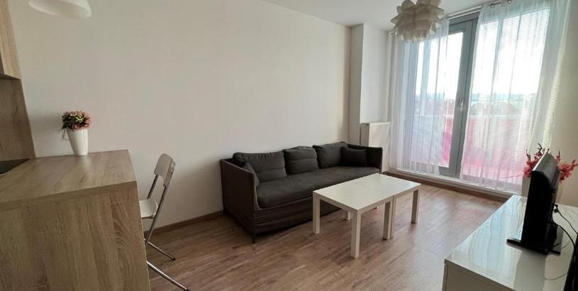 Apartments 2 room apartment with terrace, Prievozska street