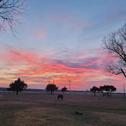 Дом отдыха Modern Ten Acre Horse Ranch-Walk to Lake Ray Robert