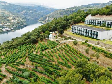 Отель Douro Palace Hotel Resort & SPA