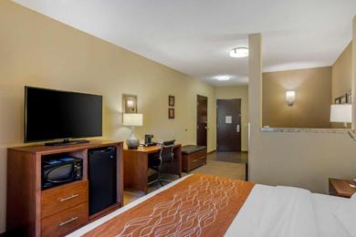 Отель Comfort Inn & Suites Sayre