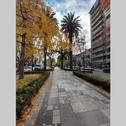Apartments Excelente ubicación en el Bv. más lindo de Rosario