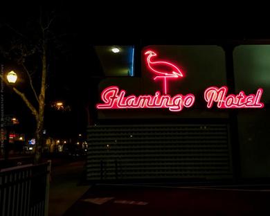 Мотель The Flamingo Motel San Jose