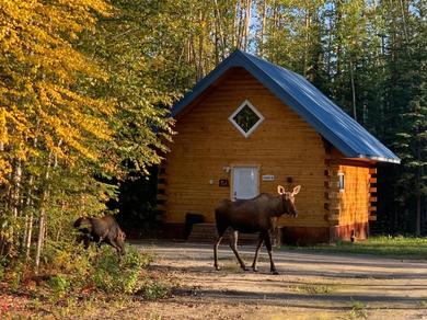 Hotel Moose Tracks Cabin in North Pole, Alaska
