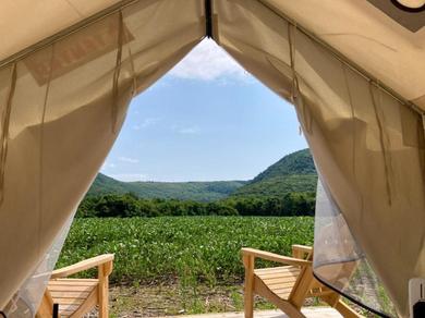 Luxury tent Tentrr State Park Site - Taconic State Park High Valley Rd Site D