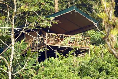 Lodge Rafiki Safari Lodge