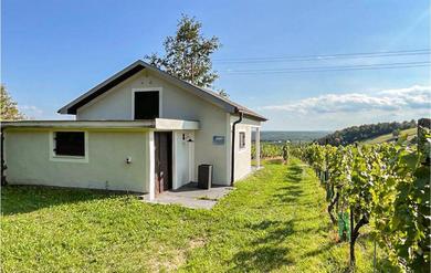 Дом отдыха Amazing home in Eisenberg an der Pinka with WiFi and 1 Bedrooms
