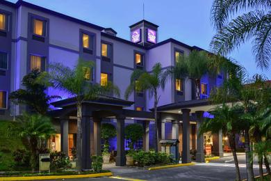 Отель Sleep Inn Hotel Paseo Las Damas