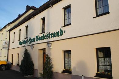 Гостевой дом Gasthof & Pension Zum Saalestrand