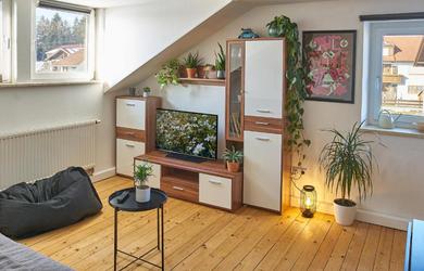 Apartments Green-Art-Living im Allgäu für 3 mit Queensize & WIFI