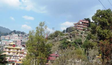 Гостевой дом Shimla View Home