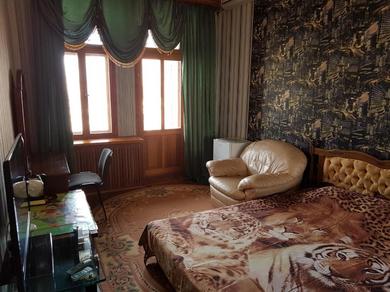 Guest house Room in Apartment on Panteleimonivs'ka Street