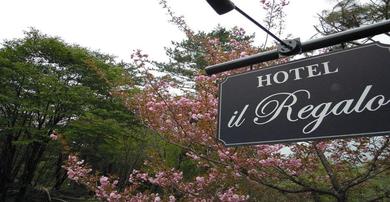 Отель Hotel&Ristorante il Regalo / Vacation STAY 15136
