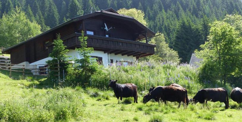 Lodge Wildhaberhütte