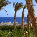 Курорт Viva Blue Resort and Diving Sharm El Naga (Adults Only)