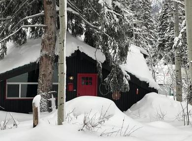 Chalet Swiss Cottage Ski and Summer Retreat