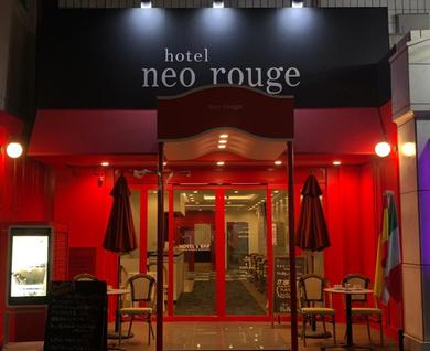 Отель Hotel Neo Rouge