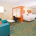 Hotel SpringHill Suites by Marriott Baton Rouge Gonzales