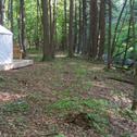 Люкс-шатер Tentrr - Creekside Thyme