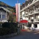 Отель Hotel Tiroler Adler