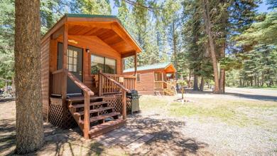 The Lupine Cabin #10