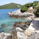 Apartments Apartments by the sea Molunat, Dubrovnik - 8956