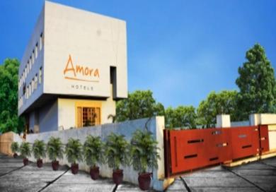 Hotel HOTEL AMORA - Rajnandgaon