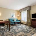 Hotel Hampton Inn & Suites Orlando-South Lake Buena Vista