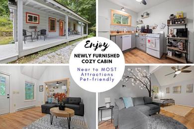 Apartments Cozy 1 Bdr Cottage_Mtn View_Fire Pit_Pet Friendly