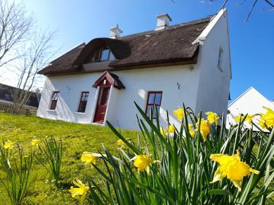 Дом отдыха Donegal Thatched Cottage