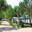 Holiday home Locazione Turistica Camping Badiaccia-2