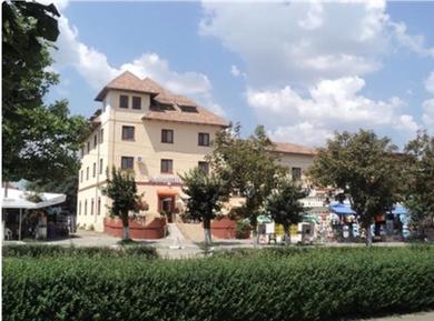 Guest house Hotel Oltenia