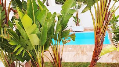 Villa Maison plain-pied avec piscine chauffée