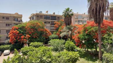 Apartments Excellent fully furnished apartment - Enjoy staying in Maadi's most quiet area