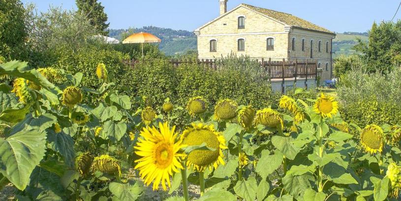 Villa 6 bedrooms villa with private pool furnished garden and wifi at Montecarotto