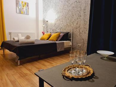 Ultracentral 5* Boutique Hotel style apartment. Brand new. 2 rooms. Spacious. Free parking