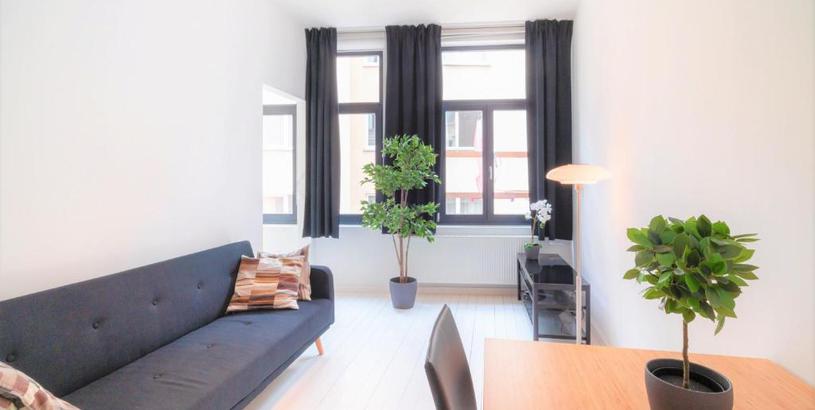 Апартаменты Beautiful Cozy Apartments in the Heart of Antwerp
