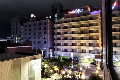 Отель Major Hotel