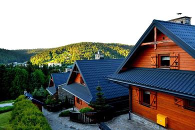 Chalet Alpejskie Domy Ski House